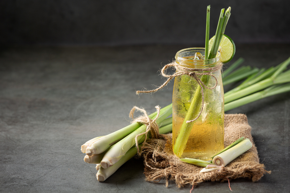 Rahasia Sehat Alami: Ini 7 Manfaat Konsumsi Herbal Setiap Hari!