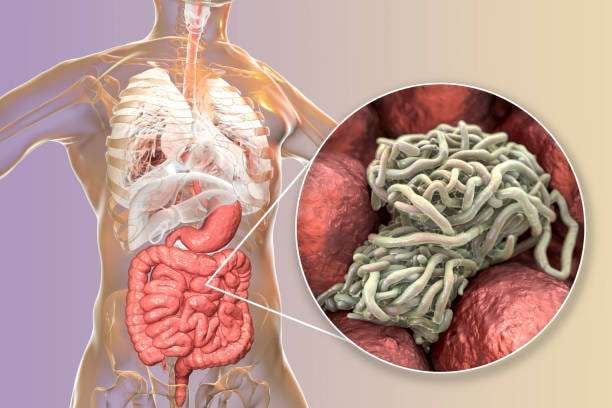 Manfaat Obat Cacing untuk Kesehatan Orang Dewasa Modern
